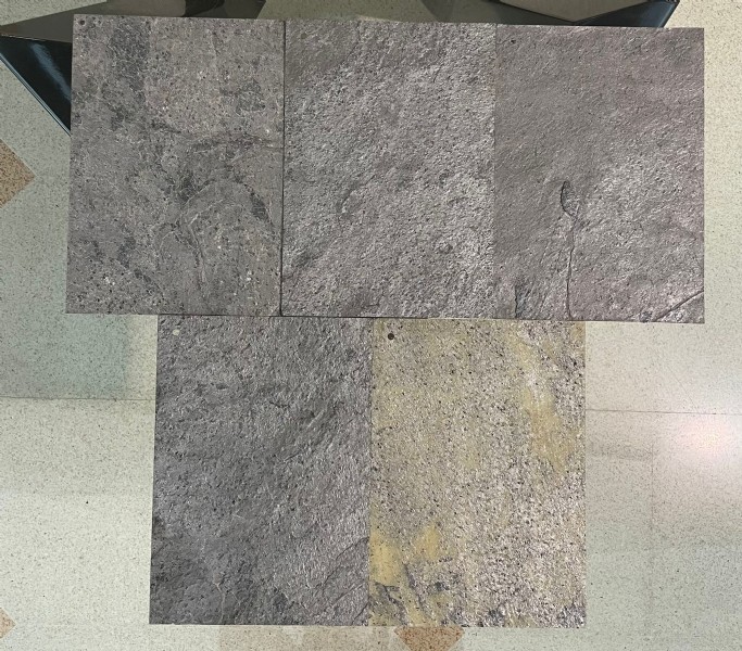 CAMPIONI PIETRA GERMANIA