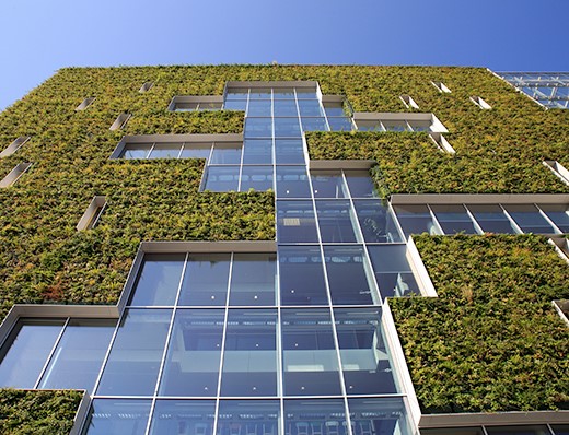 Living Wall Modulogreen