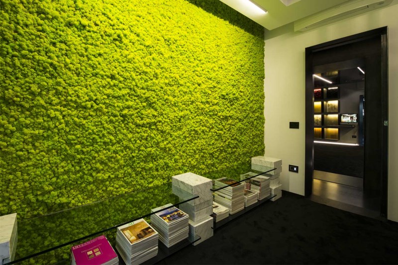 Licheni stabilizzati